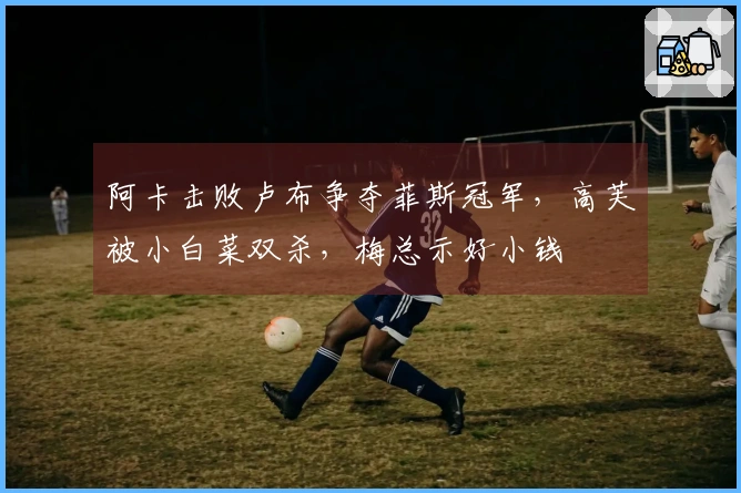 阿卡击败卢布争夺菲斯冠军,高芙被小白菜双杀,梅总示好小钱