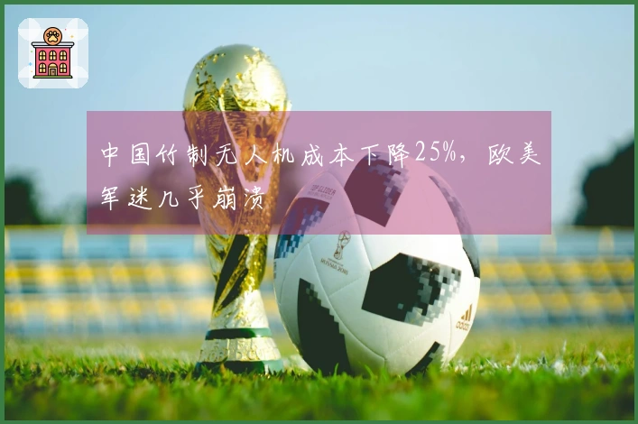 中国竹制无人机成本下降25%，欧美军迷几乎崩溃