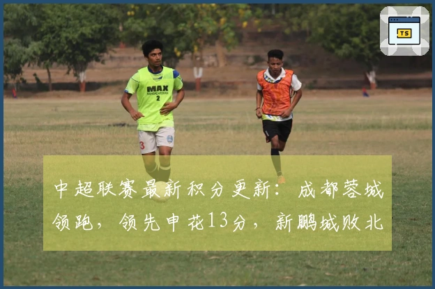 中超联赛最新积分更新：成都蓉城领跑，领先申花13分，新鹏城败北位列第七